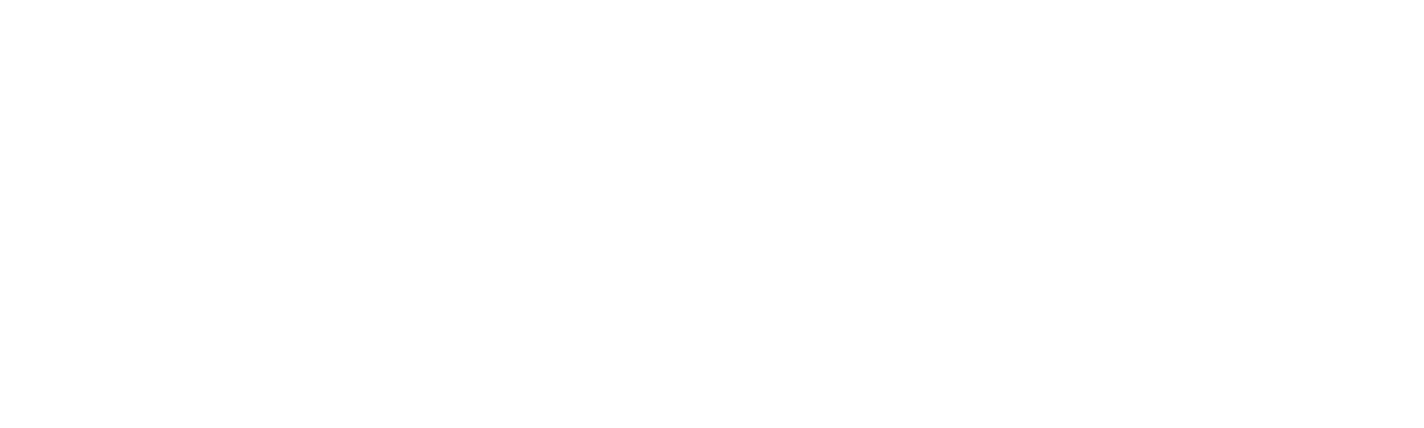 Frizzle Digital Logo